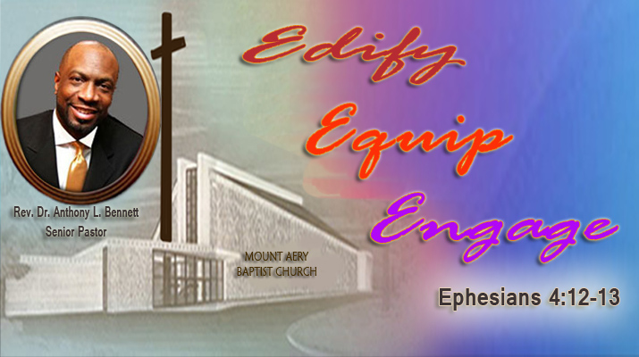 Welcome to The Mount